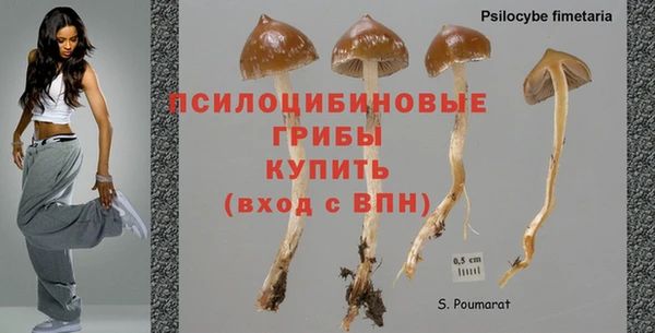 мет Алзамай