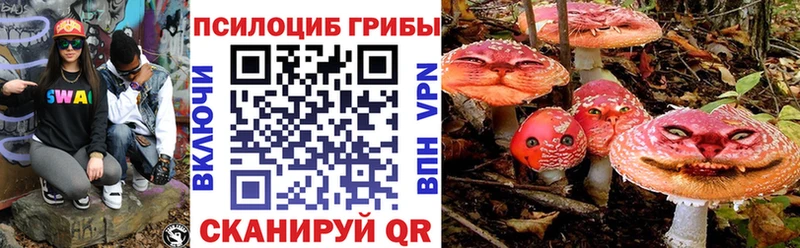 купить   Геленджик  Псилоцибиновые грибы MAGIC MUSHROOMS 